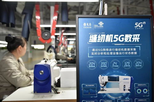 把年味穿在身上 杭州網絡技術服務與傳統文化的數字融合